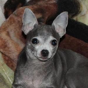 Meet your Posher, Brenda